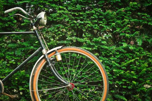Fahrrad vor einer grünen Hecke. 