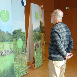 Besucher betrachtet Aufsteller bei der Wanderausstellung zum Biotopverbund. 